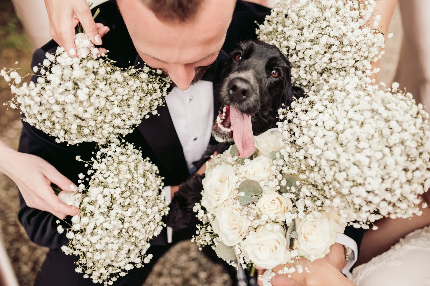 Groom and his dog within flowers at Copdock Hall