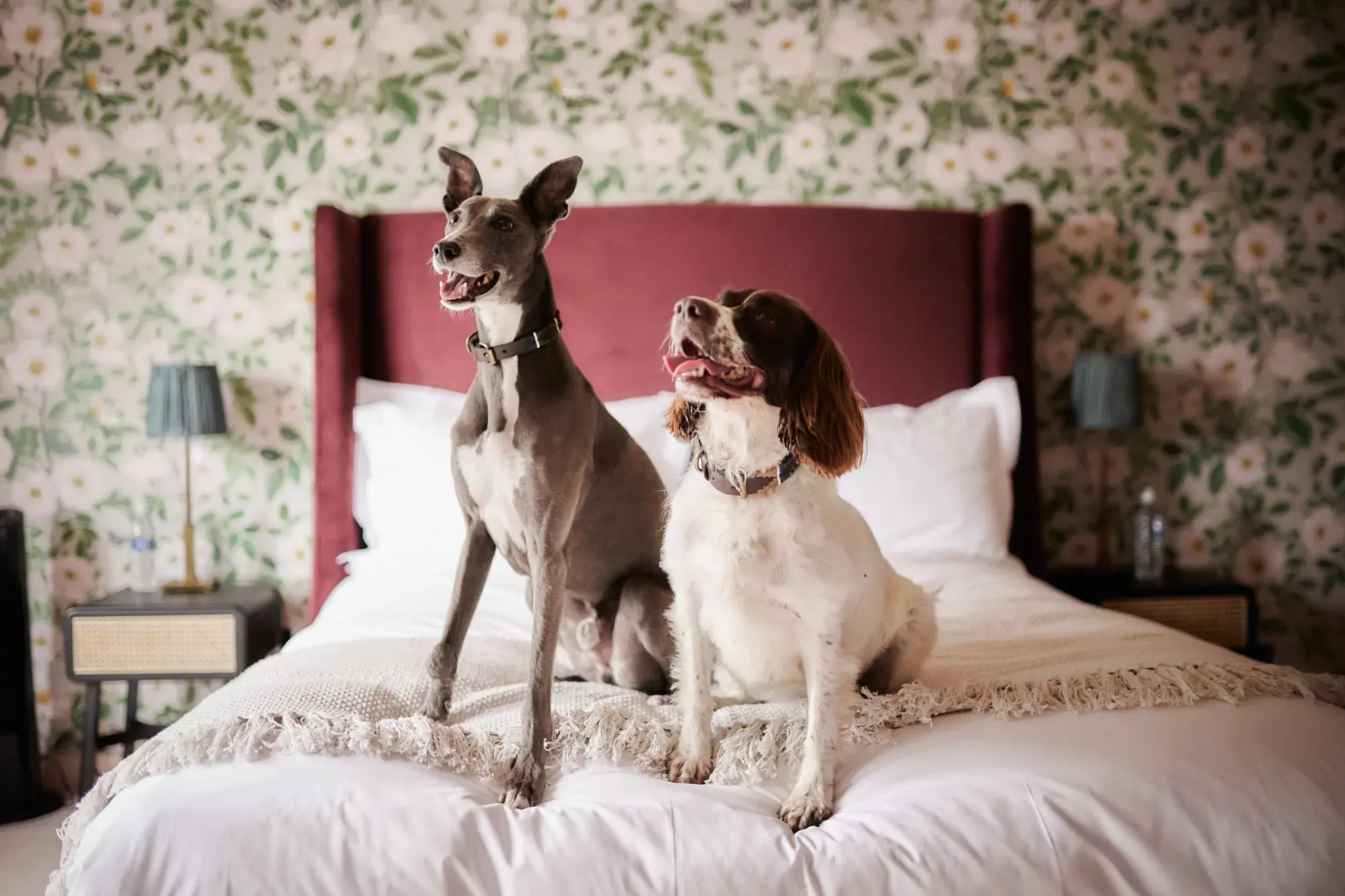 copdock-hall-weddings-events-venue-capella-photography-73-2000x1333